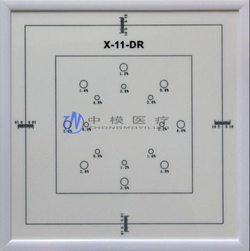 X-11-DR模体